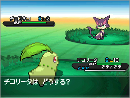 pokemon_nb2_giugno%20(35).png