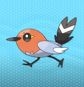 fletchling_pokemon_x_and_y_2013_05_14_17