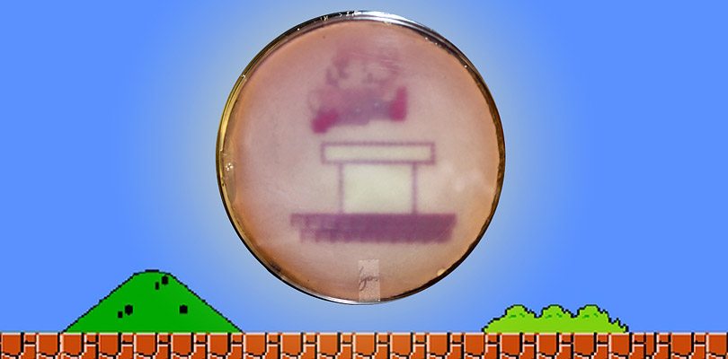 Degli scienziati hanno creato un'immagine di Mario con dei batteri geneticamente modificati