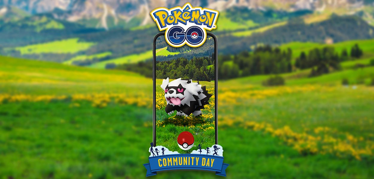 Zigzagoon di Galar è protagonista del Pokémon GO Community Day di agosto